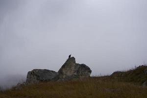 autumn landscape tall stones with evening weather travel fresh air photo