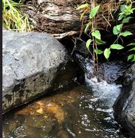 cerca arriba pequeño agua corriente en el río foto