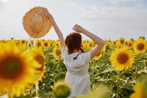 woman with pigtails in a white dress with raised hands a field of sunflowers photo