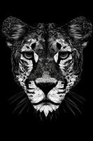 Low poly vector tiger illustration. Polygonal animal graphic design. Color filter on separate layer. Low poly style illustration of tiger. photo