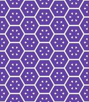 Multi color seamless abstract pattern. Background and backdrop. Multi Colored. Colorful ornamental design. vector