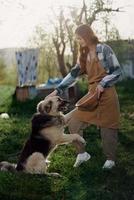 Woman stroking her big furry dog on. farm in the countryside against a backdrop of clean laundry on a rope photo