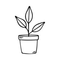 Flower in a pot. Indoor plant doodle icon vector