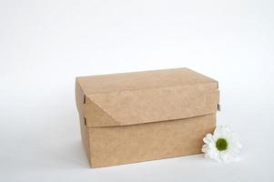 Kraft caja Bosquejo, caja de almuerzo, eco simpático embalaje con sitio para texto, aislado comida caja foto