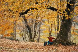 woman in autumn forest sitting under a tree landscape yellow leaves model photo