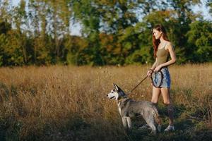 Woman and her husky dog happily walk and run through the grass in the field smile with teeth fall sunset walk with a pet, travel with a friend dog happiness lifestyle photo