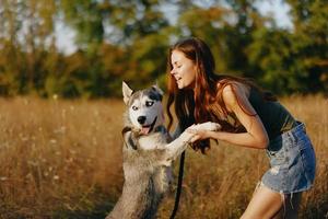 A slender woman plays and dances with a husky breed dog in nature in autumn on a field of grass and smiles at a good evening in the setting sun photo