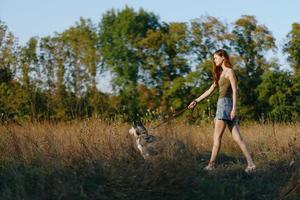 Woman and her husky dog happily walk and run through the grass in the field smile with teeth fall sunset walk with a pet, travel with a friend dog happiness lifestyle photo