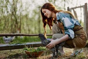 mujer sonrisas mirando a el pollo ella sostiene cerca el alimentador en su manos en el granja, granja labor para levantamiento sano aves y alimentación ellos orgánico comida en naturaleza foto