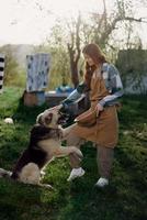 Woman stroking her big furry dog on. farm in the countryside against a backdrop of clean laundry on a rope photo