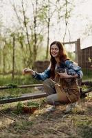 Outdoors in the poultry pen, a young woman farmer feeds fresh green grass to young laying hens and smiles photo