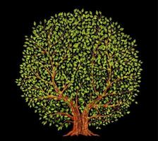 Old tree on black background vector illustration