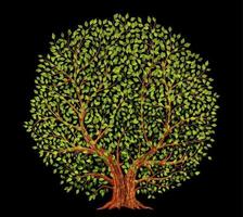 Old tree on black background vector illustration