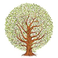 Tree isolated on white background. Vector illustration.