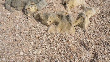 coral reefs eroded by sea water hundreds of years photo