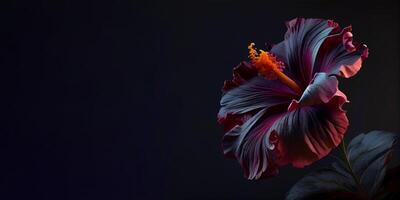 oscuro petunia flor en negro antecedentes ai generado foto