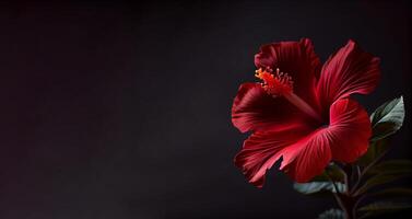 oscuro petunia flor en negro antecedentes ai generado foto