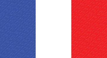 Flag france icon vector