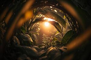the morning sun breaks through the jungle leaves nature background illustration photo