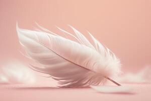 peach pink delicate air soft feather photo
