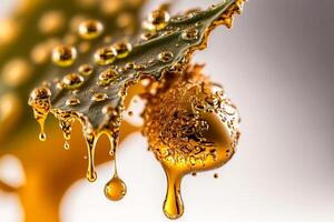 golden drop cannabis extract thc, trihome resin wax photo