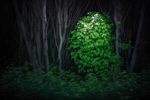 night forest with one green tree background photo