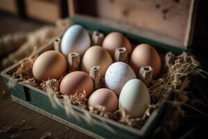 chicken egg tray photo