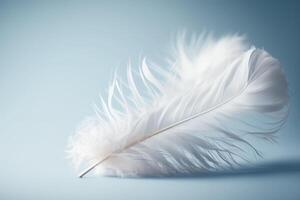 white delicate air feather on a blue background photo