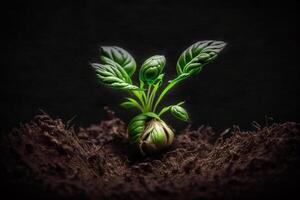 un planta viene fuera de un semilla en el suelo generativo ai foto