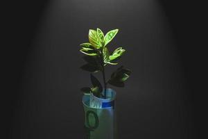 Money growth concept - small tree grows out of Euro banknote in spotlight on black background photo