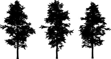Set of tree silhouettes black color isolated on white background vector