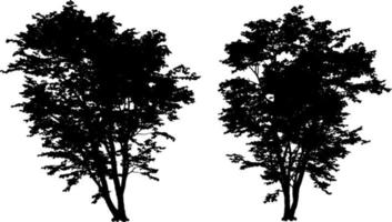 Set of tree silhouettes black color isolated on white background vector