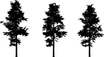 Set of tree silhouettes black color isolated on white background vector