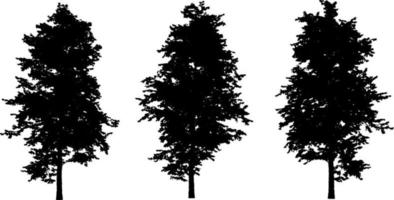 Set of tree silhouettes black color isolated on white background vector