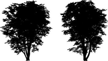 Set of tree silhouettes black color isolated on white background vector