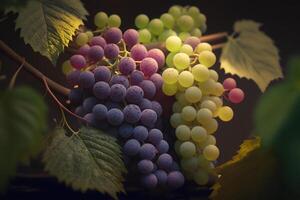 verde vino uvas en un rama ilustración generativo ai foto