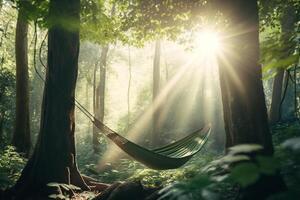hammock for outdoor recreation between trees in the forest photo