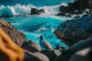 blue ocean waves crashes into stone rocks and lonely bird photo