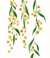 delicate and sophisticated illustration of a plant branch with leaves vector