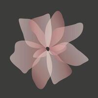 romantic and delicate flowers in pastel shades vector