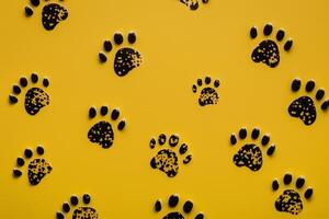 dog paw prints on yellow background photo