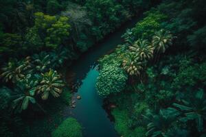 green jungle forest top view illustration photo