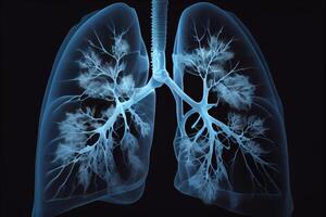 x-ray of human lungs illustration photo