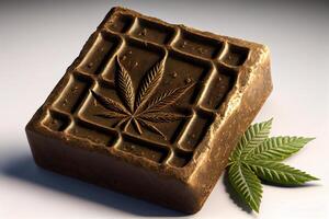 cannabis brown hashish and green leaf closeup illustration photo