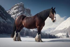 A brown and white horse standing on top of a snow covered mountain, photo