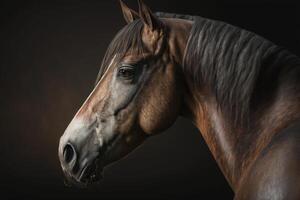 A portrait of a horse in front of a dark background, photo