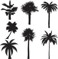 palm trees silhouettes . tropical palm trees, black silhouettes vector