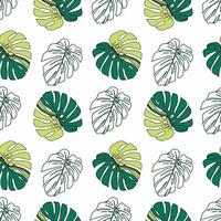 Green monstera leafs seamless pattern on white background. vector