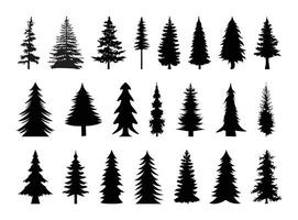 A large group of useful pine trees vector