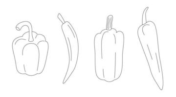 Different peppers line art set. Bell, chili, banana pepper collection in cartoon style. Outline icon set isolated on white background. Hand drawn doodle vector illustration.